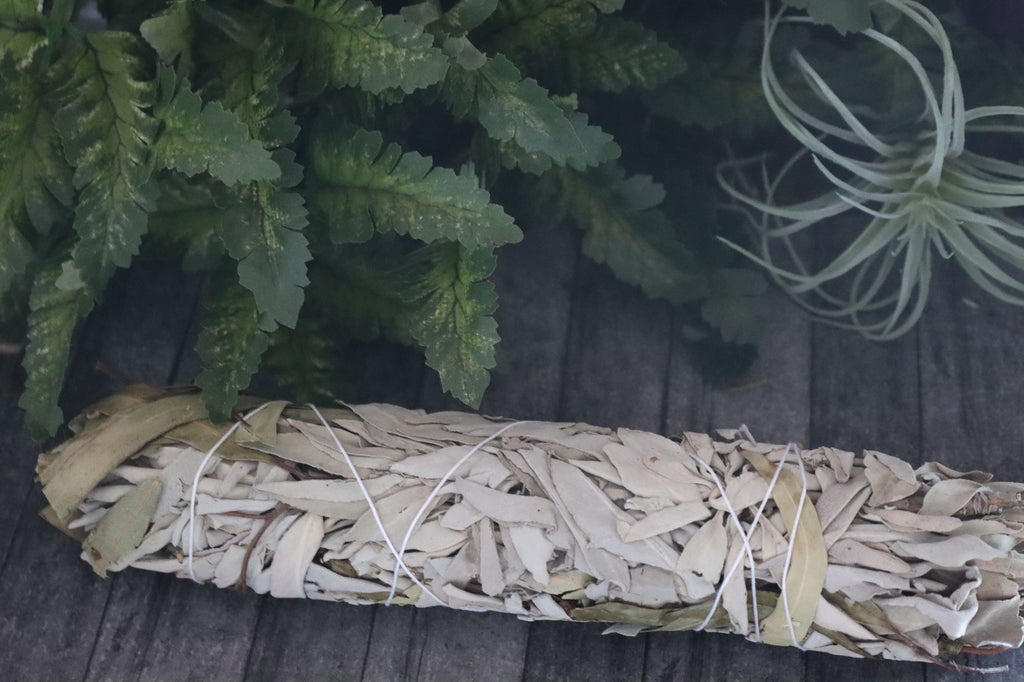 White Sage and Eucalyptus Smudge Stick