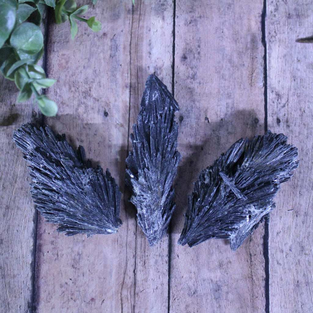 Black Kyanite