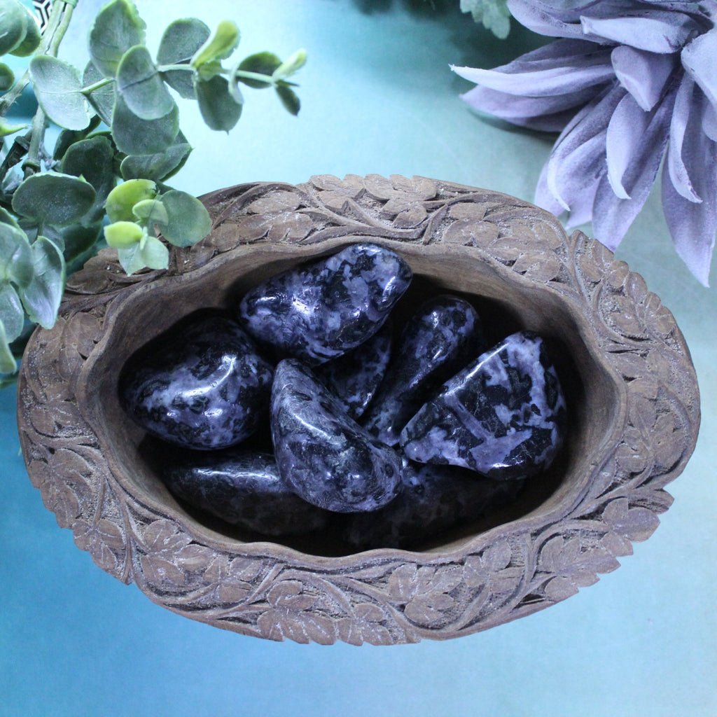 Indigo Gabbro